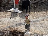 29 Two Young Boys Enjoying Themselves With A Cow At Phu Village 